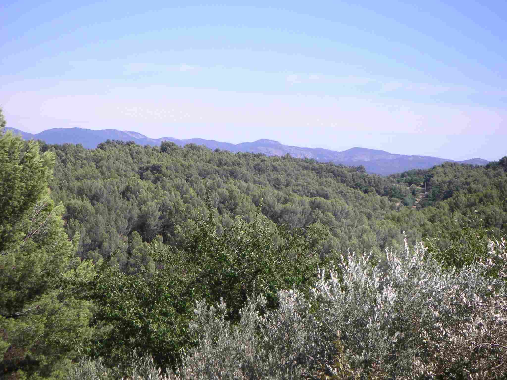 Massif des Maures